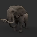 Gray Elephant with Long Trunk and Tusks Standing Against Dark Background 3d model