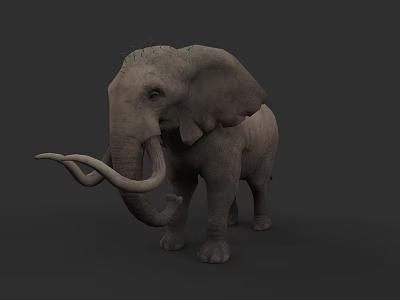 Gray Elephant with Long Trunk and Tusks Standing Against Dark Background 3d model