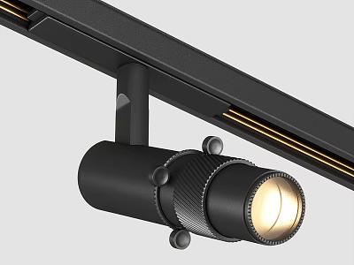 Modern Black Adjustable Angle Downlight Spotlight With Warm LED Light For Home Ceiling Lighting 3d model