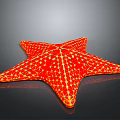Red Starfish As Aquatic Animal With Vibrant Color And Yellow Spots On Shiny Surface