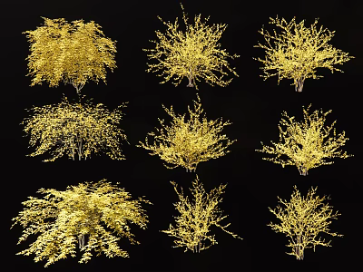 Yellow Shrubs With Various Forms Arranged As Display Collection On Black Background 3d model