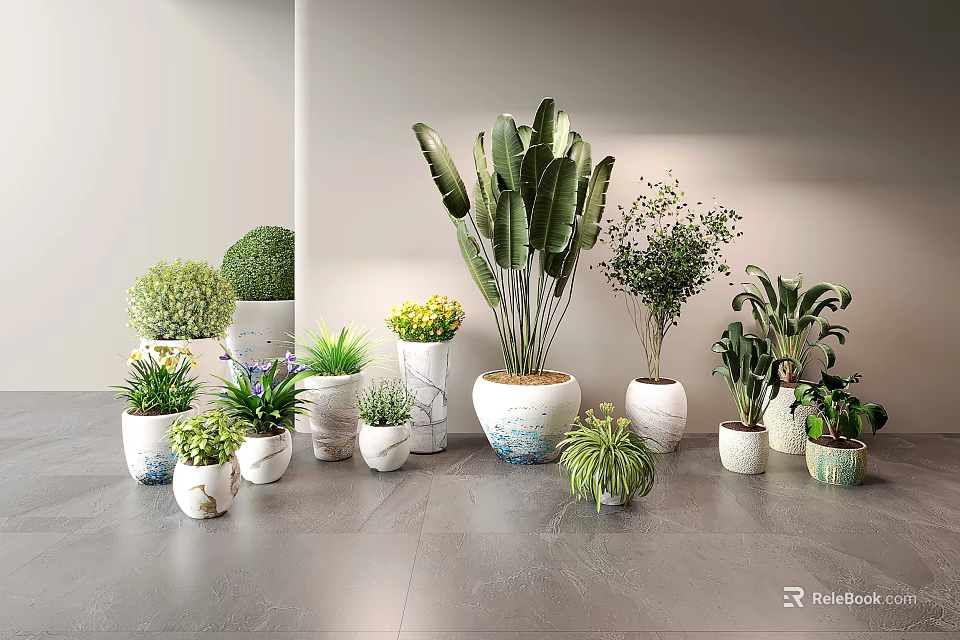 Various Potted Plants Arranged With Green Leaves And Yellow Flowers On Gray Floor 3d model 