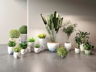 Various Potted Plants Arranged With Green Leaves And Yellow Flowers On Gray Floor 3d model
