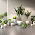 Various Potted Plants Arranged With Green Leaves And Yellow Flowers On Gray Floor