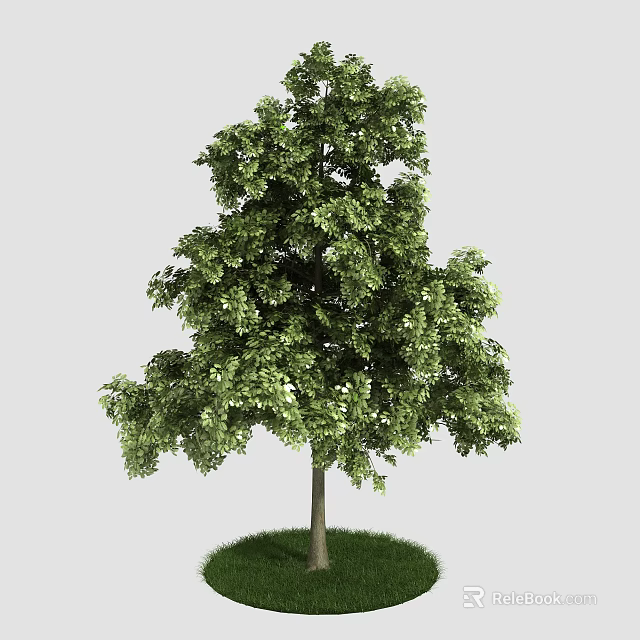 Lush Arbor Tree With Dense Green Foliage And Strong Trunk On Grass Base 3d model