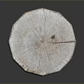 Rustic Organic Wooden Stone Stump Featuring Natural Texture and Smooth Surface