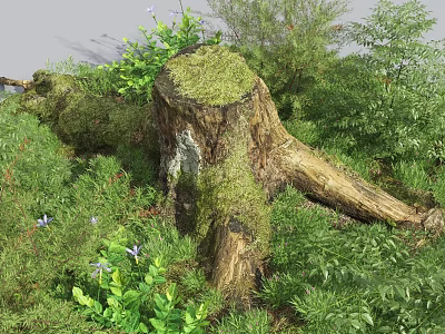 Stone And Wood Natural Scene With Moss Covered Tree Stump Green Plants And Purple Flowers 3d model