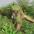 Stone And Wood Natural Scene With Moss Covered Tree Stump Green Plants And Purple Flowers