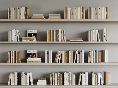 Light Wooden Bookshelf With Various Books And Gray Wall Home Library Interior 3d model