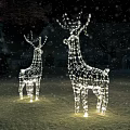 Deer Shaped Festive Decorative Lights Illuminate Snowy Outdoor Winter Night Garden