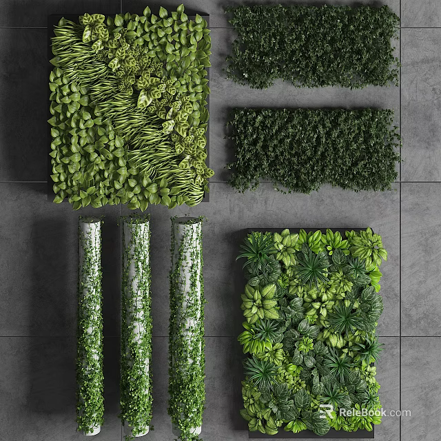 Living Plant Wall with Various Shapes and Designs for Indoor Green Decor 3d model 