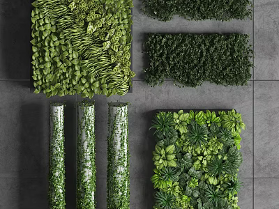 Living Plant Wall with Various Shapes and Designs for Indoor Green Decor 3d model