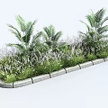Garden Flower Bed With Palm Plants Lavender Flowers Green Grass And Concrete Edging