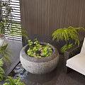 Indoor Courtyard Aquatic Plants In Stone Basin With Water Lilies And Green Ferns