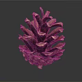 Natural Detailed Pinecone With Brown Textured Scales Isolated On Dark Background With Reflection