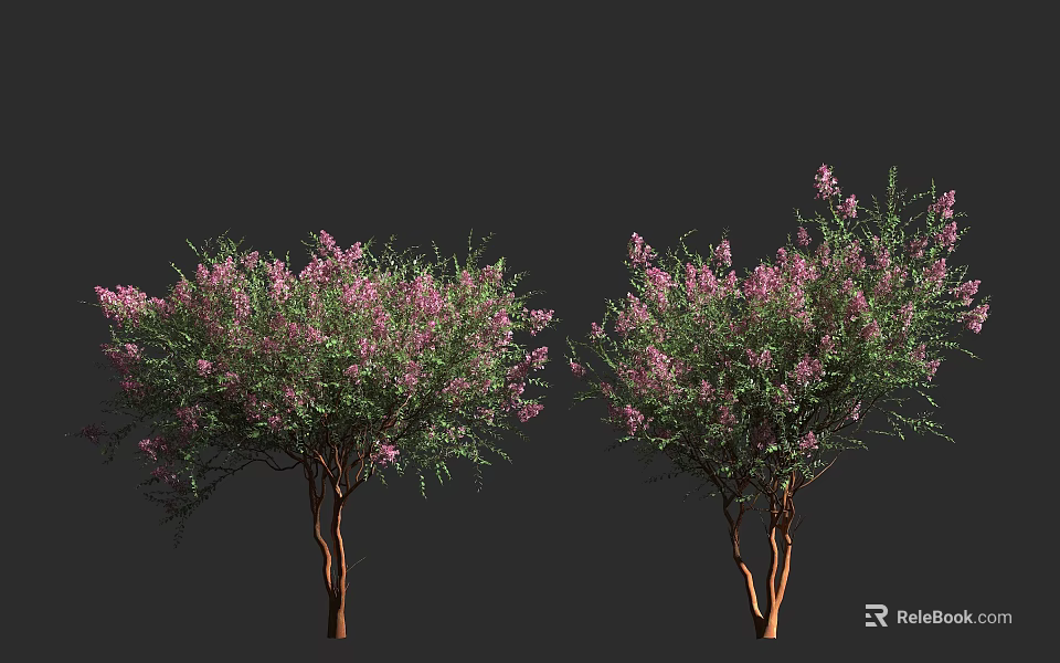 Two Arbor Trees With Pink Flowers Green Leaves And Brown Trunks 3d model 