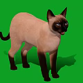 Siamese Cat Standing on Green Background with Blue Eyes and Pointed Coat Features