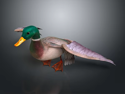 Mallard Duck With Green Head Yellow Beak And Spread Wings Standing On Gray Background 3d model