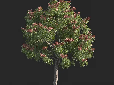 Lush Arbor With Green Leaves And Vibrant Red Flowers On Brown Trunk 3d model