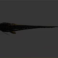 Brown Spotted Aquatic Fish With Long Body Shiny Surface And Fins