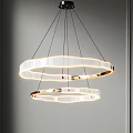 Modern Double Ring Transparent Chandelier With Golden Frame And Illuminated Effect 3d model