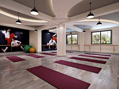 Modern Yoga Room Training Center Hall 3d model