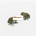 Two Green Frogs 3D Model Figurine With Realistic Detailed Design Features