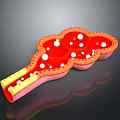 Detailed 3D Anatomical View of Hair Follicle Organ Structure with Red and White Cellular Components