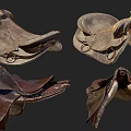 Vintage Leather Saddles Horse Riding Sports Equipment Shown In Multiple Angles