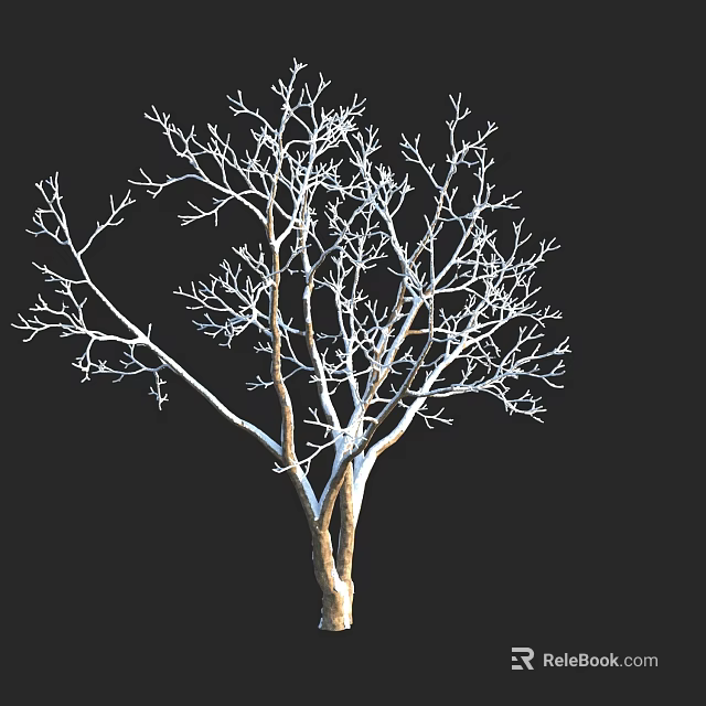Bare Arbor Tree With White Covered Branches Against Dark Background 3d model