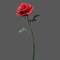 Stunning Red Rose Art Installation With Green Leaves And Realistic Petals