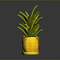 Fresh Ripe Pineapple Whole Fruit And Sliced Pieces On Black Surface