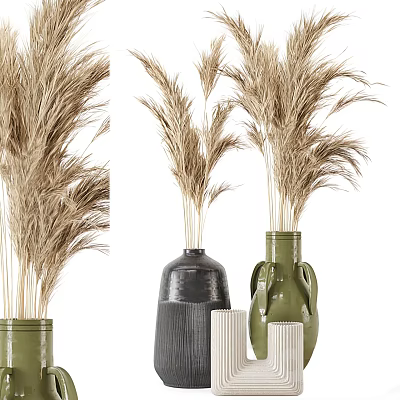 Stylish Vases In Various Designs With Pampas Grass Floral Decorations 3d model