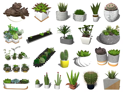 Variety of Decorative Bonsai and Potted Plants in Different Shaped Pots 3d model