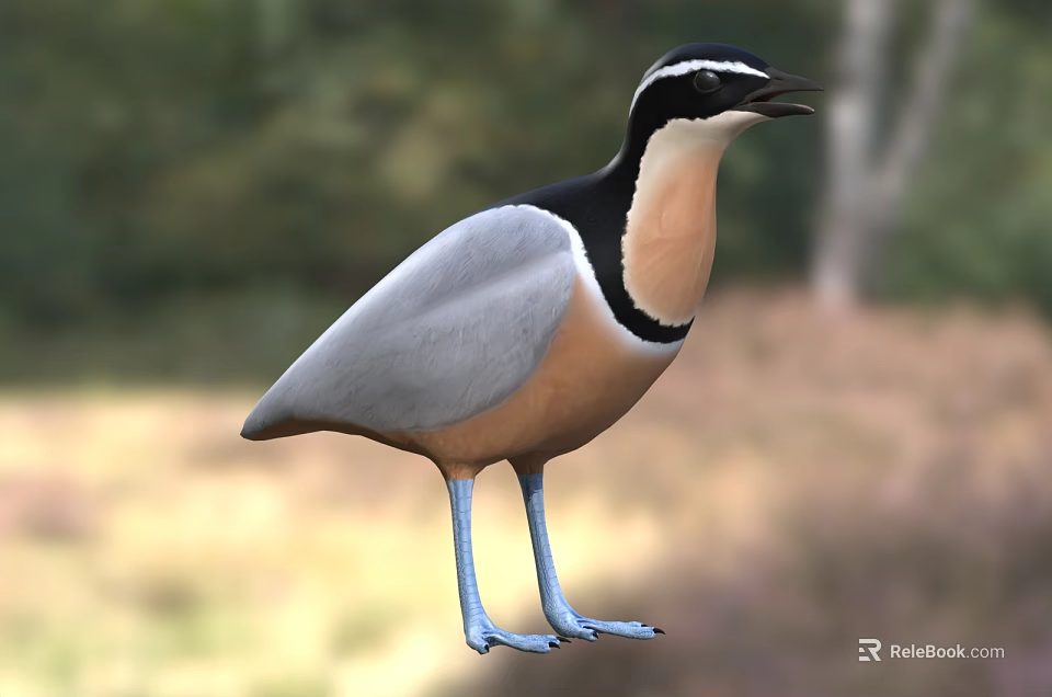 Bird With Black White Yellow Plumage And Blue Legs Standing In Natural Grassland With Trees 3d model 