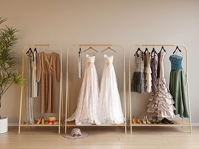 Gold Hanger Racks Displaying Dresses Shoes Hat And Potted Plant 3d model