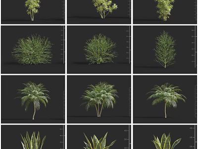 Various Types of Trees with Lush Foliage Different Shapes and Sizes 3d model