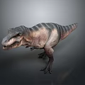 Realistic Striped Tyrannosaurus Rex Dinosaur Standing Pose 3D Render Model