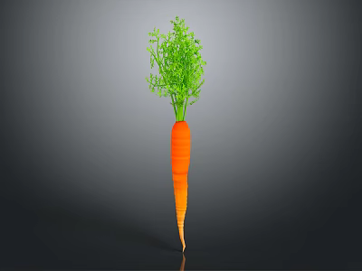 Healthy Fresh Orange Carrot With Green Tops Isolated On Grey Background 3d model