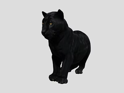Striking Black Reptile With Yellow Eyes Standing On Neutral Background Surface 3d model
