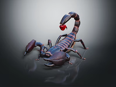 Detailed Close Up of Black and Brown Striped Scorpion With Red Stinger on Reflective Surface 3d model