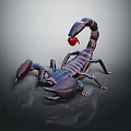 Detailed Close Up of Black and Brown Striped Scorpion With Red Stinger on Reflective Surface