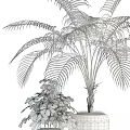 Various Types of Decorative Potted Plants with Lush Foliage and Different Planters for Indoor Use