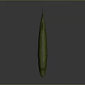 Realistic Green Pike Fish 3D Model With Lifelike Texture And Shiny Surface