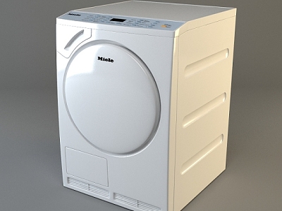 Washing Machine model