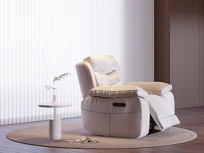 Single Light Leather Recliner Sofa with White Vertical Blinds Round Table Plant and Rug 3d model
