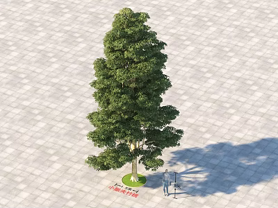 Tall Arbor With Lush Green Foliage On Paved Ground With Shadow And Silhouette 3d model