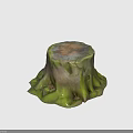 Natural Tree Stump With Green Moss And Textured Roots For Garden Plant Decor