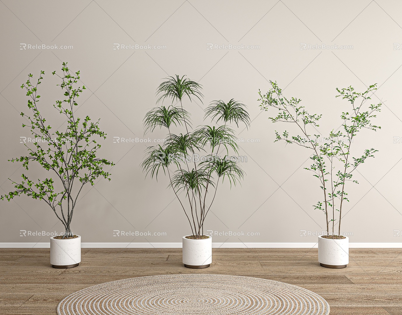 floor plant potted 3d model