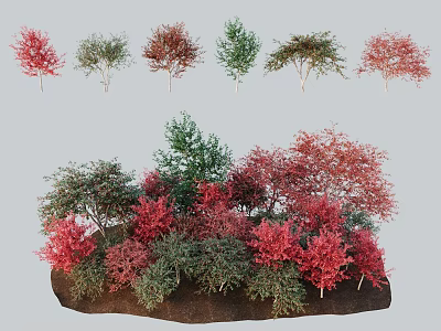 Various Colored Trees With Red And Green Foliage In Garden Landscape Design 3d model